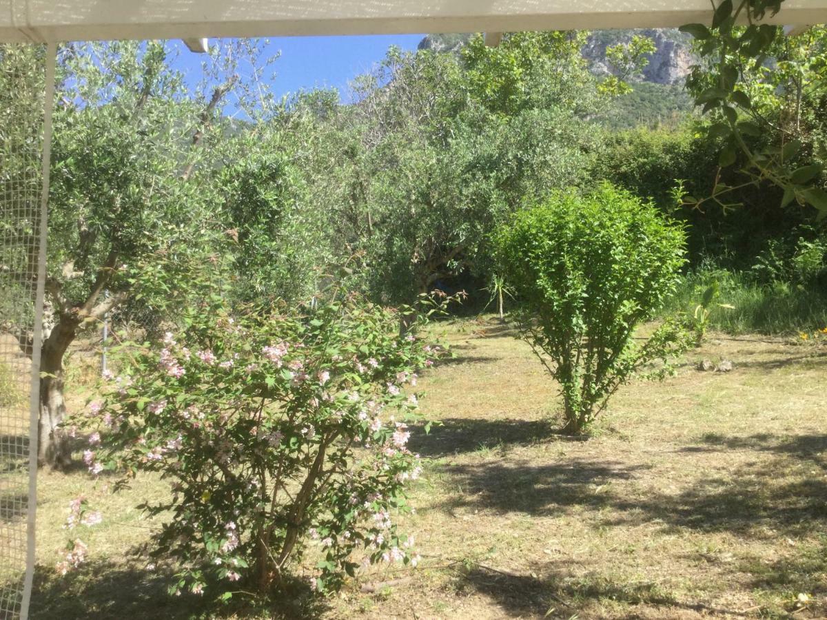 The Cabin, Kyparissia Esterno foto